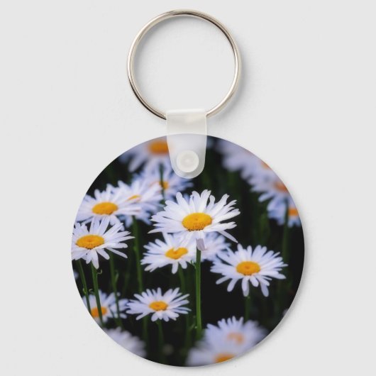 Porte-clés Lazy Daisy (Recto)