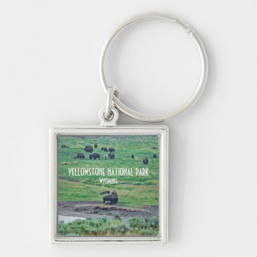 Porte-clés Le bison américain (Devant)
