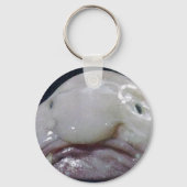 Porte-clés Le Blobfish (Recto)