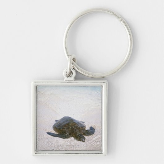 Porte-clés Le bord de l'eau (Devant)