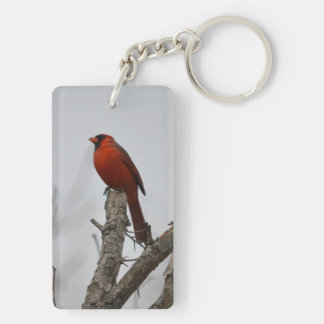 Porte-clés le cardinal au sommet de l'arbre.