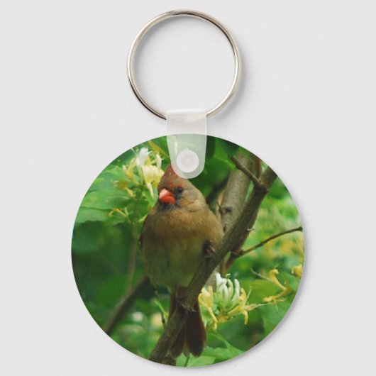 Porte-clés Le cardinal dans le porte - clé de lèche-miel (Recto)