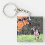 Porte-clés Le cerf sur le terrain (Devant)