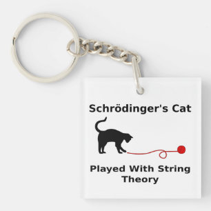 Porte-clés Le chat de Schrödinger joué avec la théorie de