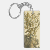 Porte-clés Le corail de la mer (Devant gauche)