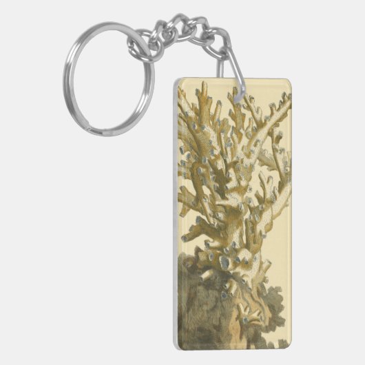 Porte-clés Le corail de la mer (Devant gauche)