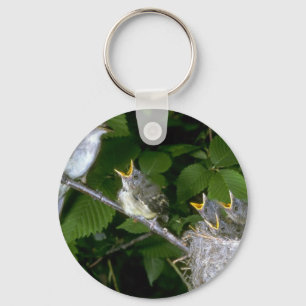 Porte-clés Le FLYCATCHER de Traill avec des jeunes