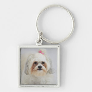 Porte-clés le frise de bichon avec un arc rose dans lui est