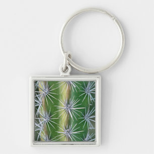 Porte-clés Le jardin botanique de Huntington, Cactus Pieuvre