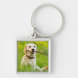 Porte-clés Le Labrador Jaune se rapproche avec un bâton