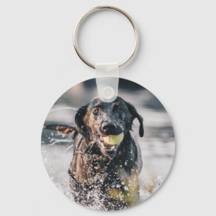 Porte-clés Le Labrador Noir Joue Dans L'Eau