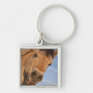 Porte-clés Le Northumberland, Angleterre 2