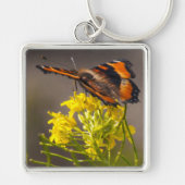 Porte-clés Le papillon Tortoiseshell de Milbert (Devant)