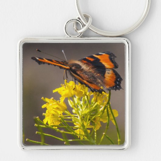 Porte-clés Le papillon Tortoiseshell de Milbert (Devant)