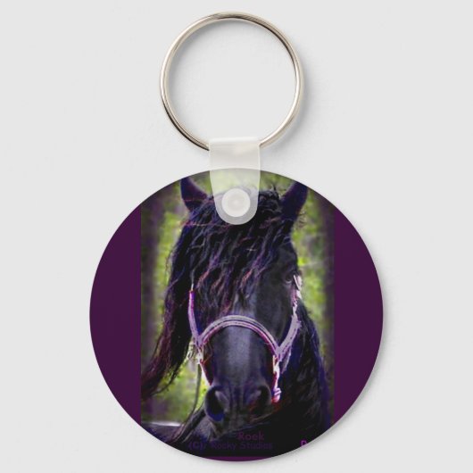Porte-clés Le Porte - clé du Black Stallion (Recto)