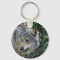 Le Porte - clé du loup Stalking