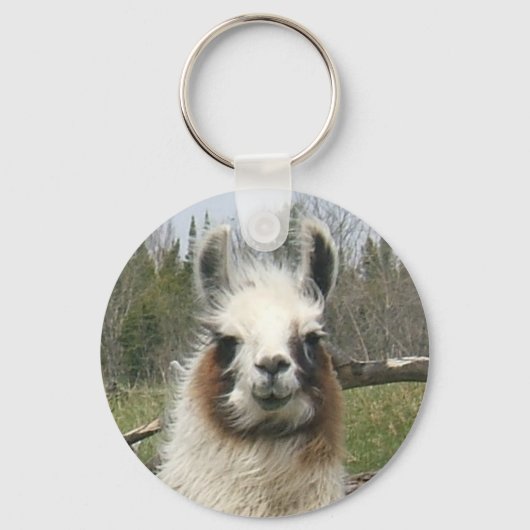PORTE-CLÉS LE QUOTIDIEN LAMA (Recto)