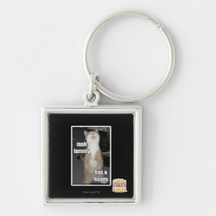 Porte-clés Le ventre d'heure-milliampère a un heureux