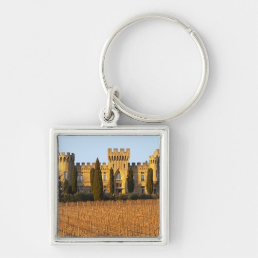 Porte-clés Le vignoble avec les vignes de syrah et le château (Devant)