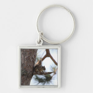 Porte-clés L'écureuil dans un arbre à pins