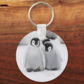 Porte-clés L'empereur Penguin Chicks sur la glace en Antarcti (Recto)