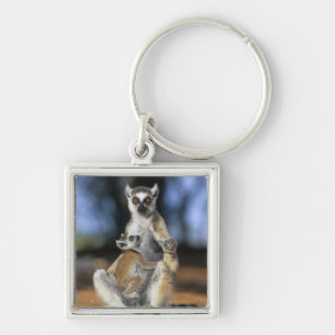 Porte-clés Lémur à queue annelée, (Lemur catta), mère et