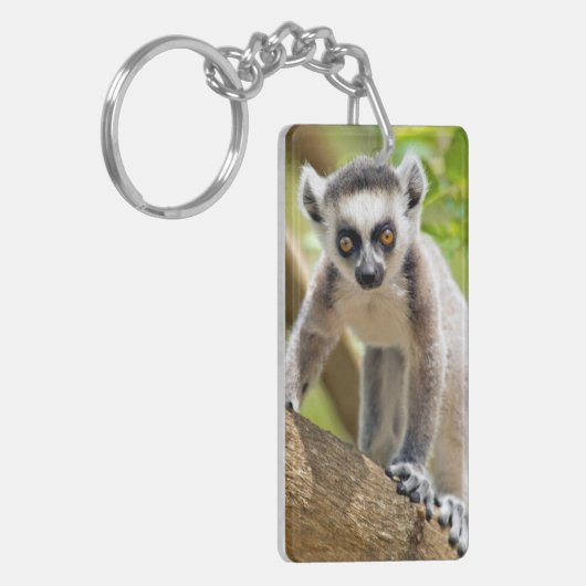 Porte-clés Lemur de bébé (Devant gauche)