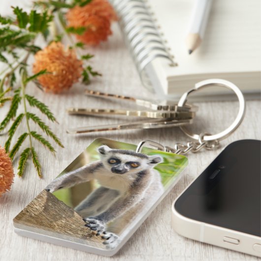 Porte-clés Lemur de bébé (Devant droit)