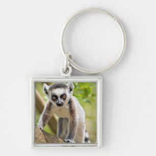 Porte-clés Lemur de bébé