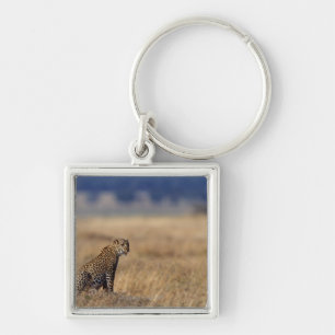 Porte-clés Léopard africain dans les prairies, Kenya, Afriqu