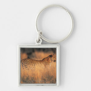 Porte-clés Léopard (pardus de Panthera)