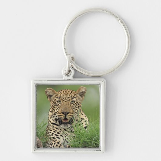 Porte-clés Léopard, pardus de Panthera, jeu de Sabi Sabi (Devant)