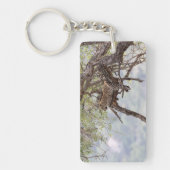 Porte-clés Leopard sur un arbre (Devant)