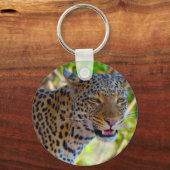 Porte-clés Leopard tacheté (Recto)