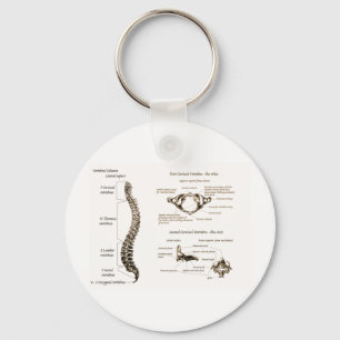 Porte-clés L'épine détaille la sépia