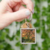 Porte-clés L'Érable Dans Les Jardins Japonais En Automne (main)