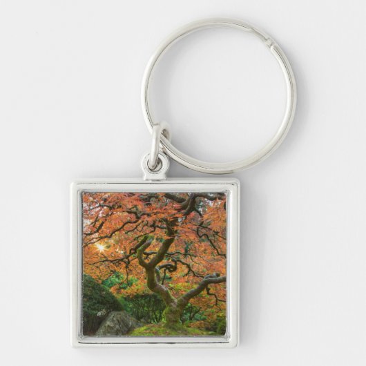 Porte-clés L'Érable Dans Les Jardins Japonais En Automne (Devant)