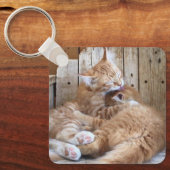Porte-clés Les chats bouddhistes (Recto)
