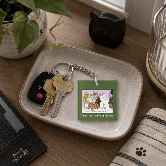 Porte-clés Les chats sont aux commandes