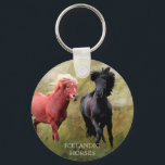 Porte-clés Les chevaux islandais<br><div class="desc">Les merveilleux chevaux islandais</div>