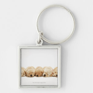Porte-clés Les chiots du golden retriever