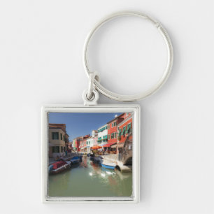 Porte-clés Les cygnes dans le canal, île de Burano, Venise, 