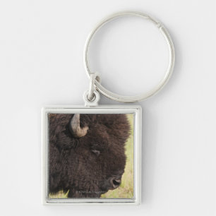 Porte-clés Les Etats-Unis, le Dakota du Sud, bison américain