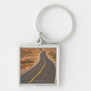 Porte-clés Les Etats-Unis, Nevada, vallée du feu, route de