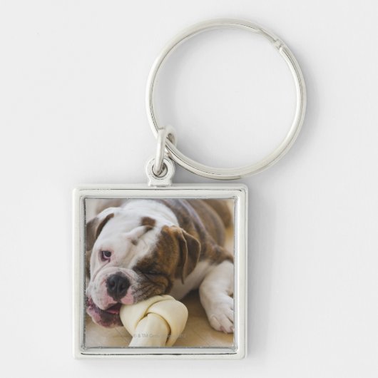 Porte-clés Les Etats-Unis, New Jersey, Jersey City, chiot (Devant)