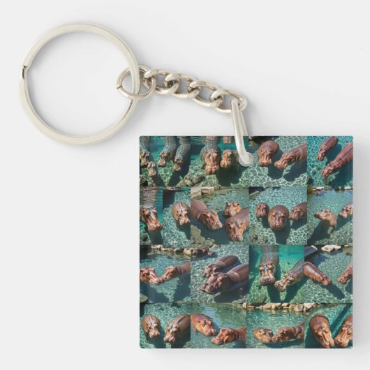Porte-clés Les hippopotames en jeu : Un paradis d'étang (Devant)