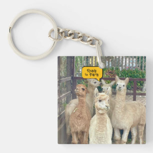 Porte-clés Les lamas viennent du Pérou sur ce porte - clé