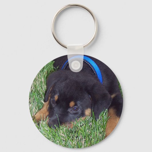 Porte-clés les petits de rottweiler. (Recto)