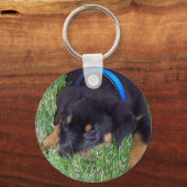 Porte-clés les petits de rottweiler. (Recto)