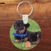 Porte-clés les petits de rottweiler. (Recto)